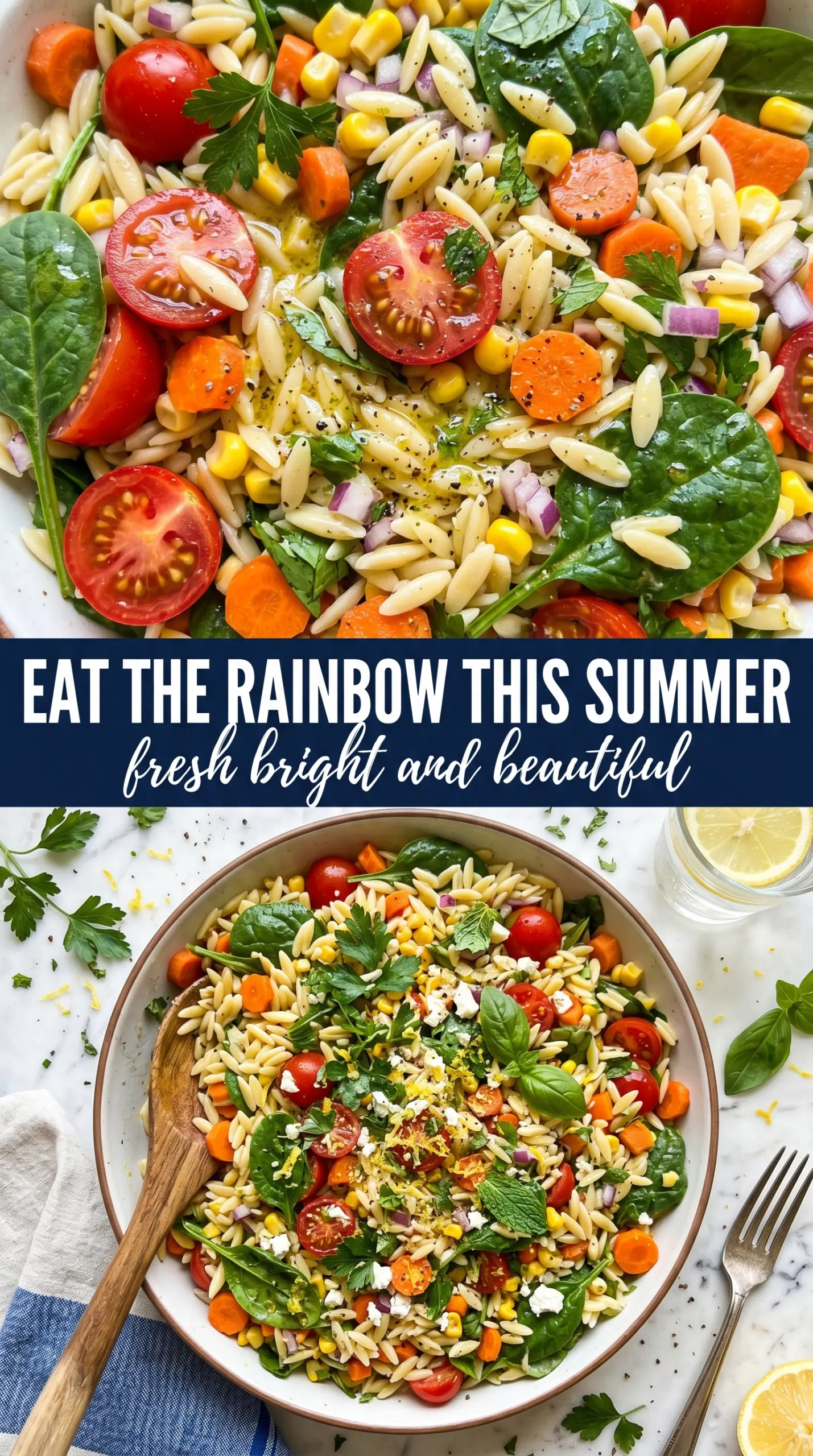 Rainbow Orzo Salad colorful lemony feta